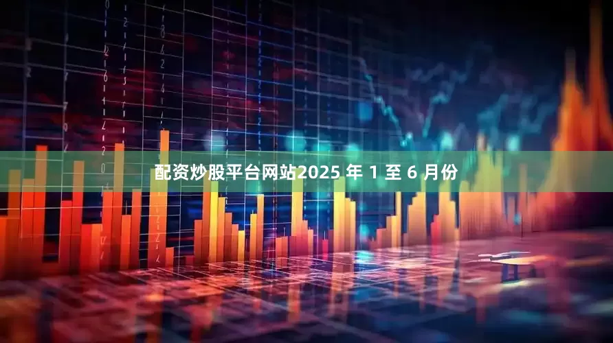 配资炒股平台网站2025 年 1 至 6 月份